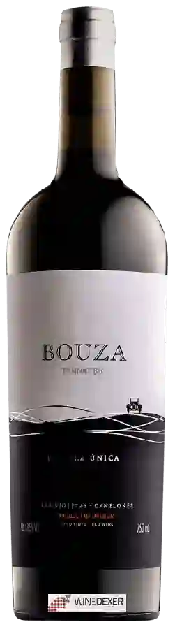 Winery Bouza - Parcela Única Tannat B6