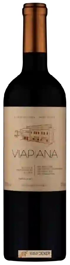 Winery Viapiana - Barricas Selecionadas Lote III