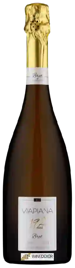 Winery Viapiana - 192 dias Brut Winery Viapiana - 192 dias Brut