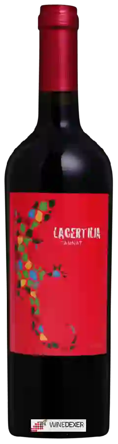 Winery Braccobosca - Lacertilia Tannat
