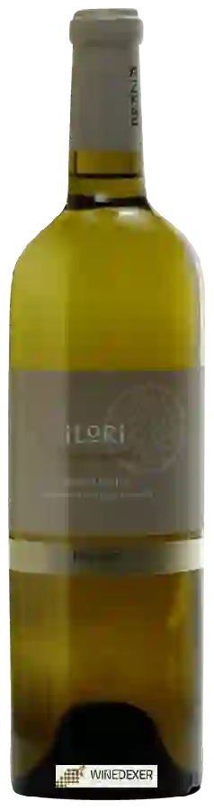 Winery Brana - Ilori les Jonquilles Irouléguy