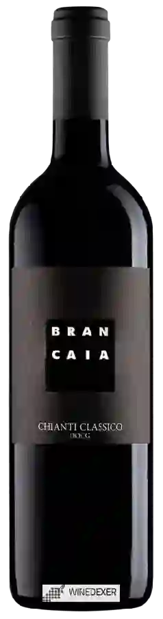 Winery Brancaia - Chianti Classico Winery Brancaia - Chianti Classico