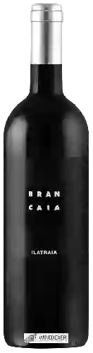 Winery Brancaia - Ilatraia