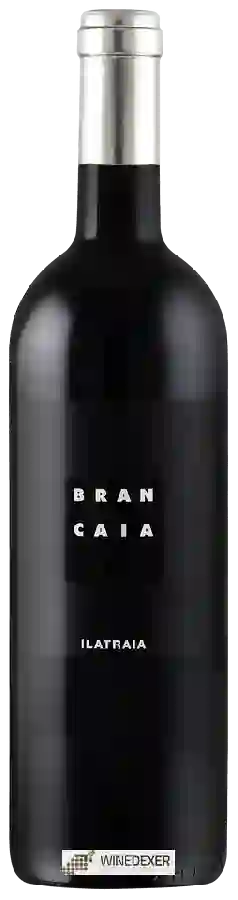 Winery Brancaia - Ilatraia Winery Brancaia - Ilatraia