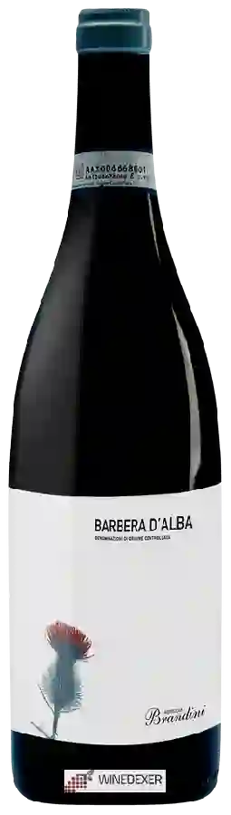 Winery Brandini - Barbera d'Alba Winery Brandini - Barbera d'Alba