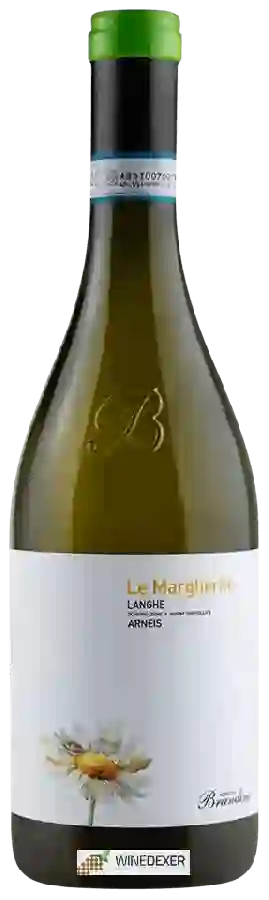 Winery Brandini - Le Margherite Winery Brandini - Le Margherite