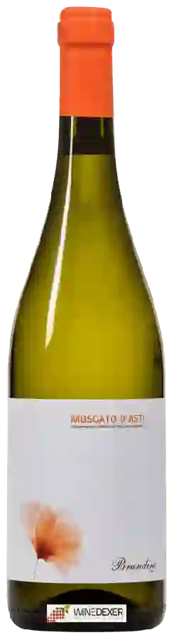 Winery Brandini - Moscato d'Asti