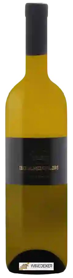 Winery Brandulin - Beli Pinot