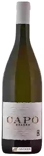 Winery Branko - Capo
