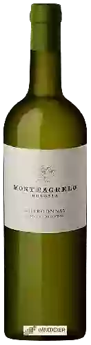 Winery Bressia - Chardonnay Monteagrelo