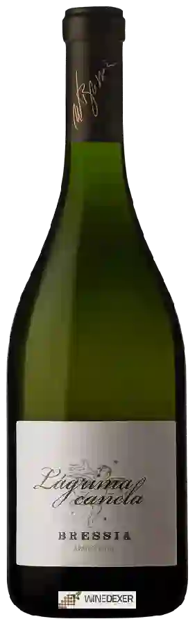 Winery Bressia - L&aacutegrima Canela