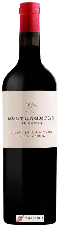 Winery Bressia - Monteagrelo Cabernet Sauvignon Winery Bressia - Monteagrelo Cabernet Sauvignon