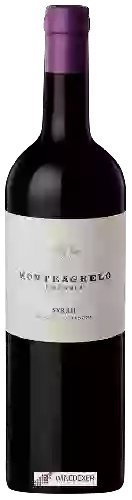Winery Bressia - Monteagrelo Syrah
