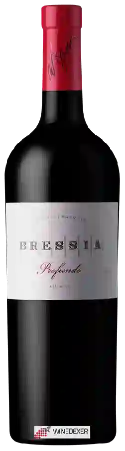 Winery Bressia - Profundo Winery Bressia - Profundo