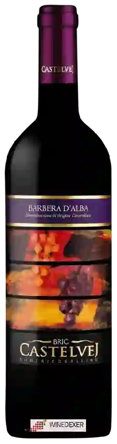 Winery Bric Castelvej - Barbera d'Alba Winery Bric Castelvej - Barbera d'Alba