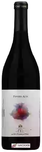 Winery Bric Castelvej - Panera Alta Riserva