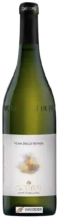 Winery Bric Castelvej - Vigna Bricco Novara Arneis Superiore Winery Bric Castelvej - Vigna Bricco Novara Arneis Superiore