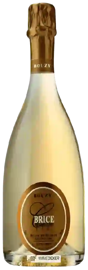 Winery Brice - Blanc de Blancs Extra-Brut Champagne Grand Cru 'Bouzy'