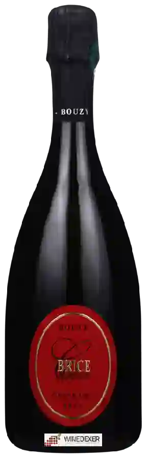 Winery Brice - Champagne Grand Cru 'Bouzy' Winery Brice - Champagne Grand Cru 'Bouzy'