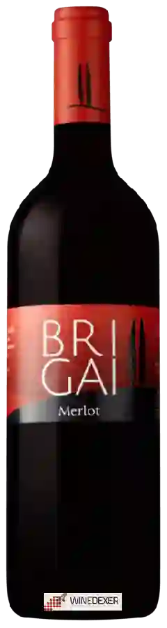 Winery Brigai - Venezia Giulia Merlot