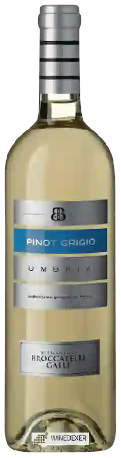 Winery Broccatelli Galli - Pinot Grigio