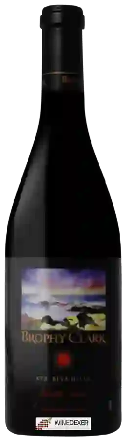 Winery Brophy Clark - Pinot Noir
