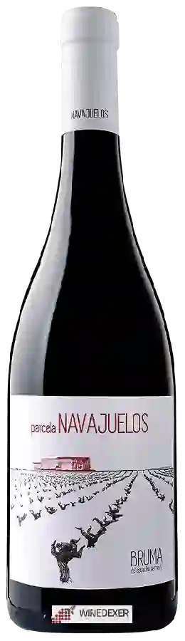 Winery Bruma del Estrecho - Parcela Navajuelos