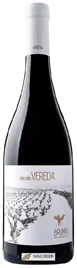 Winery Bruma del Estrecho - Parcela Vereda Winery Bruma del Estrecho - Parcela Vereda