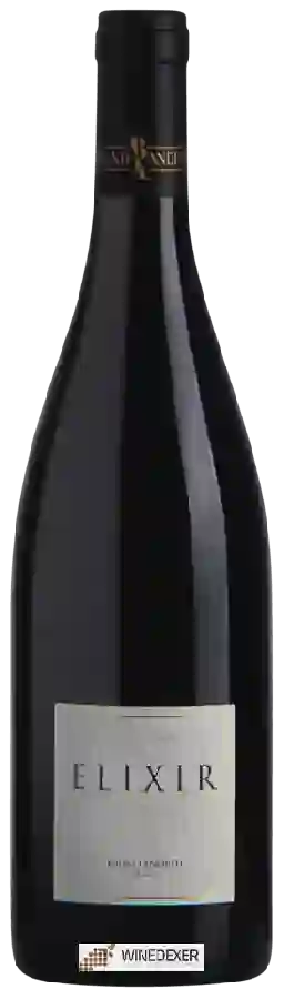 Winery Bruno Andreu - Elixir