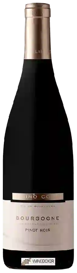 Winery Bruno Colin - Bourgogne Pinot Noir
