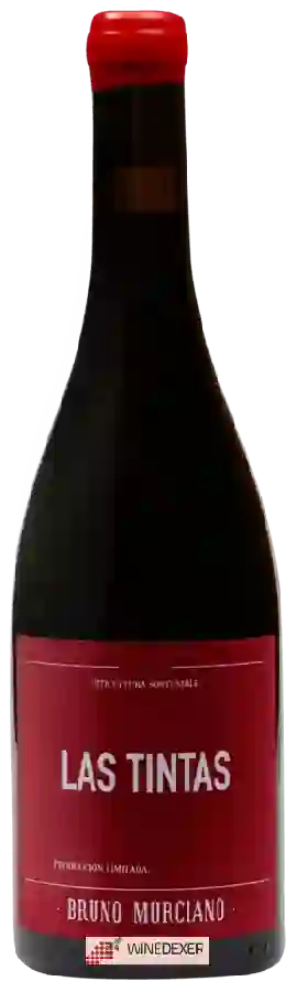 Winery Bruno Murciano - Las Tintas