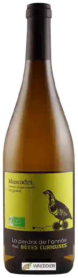 Winery Bêtes Curieuses - La Perdrix de l'Annèe Muscadet Sur Granit