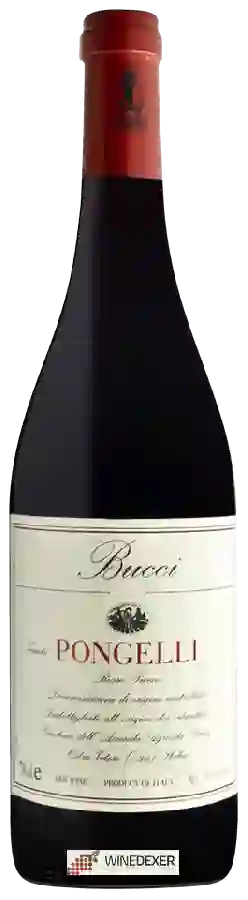 Winery Bucci - Tenuta Pongelli Rosso Piceno
