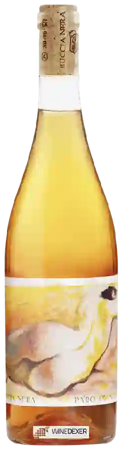Winery Buccia Nera - Pa'Ro Bianco