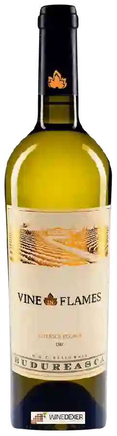 Winery Budureasca - The Vine in Flames Fetească Regală Dry