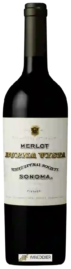 Winery Buena Vista - Merlot