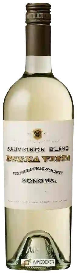 Winery Buena Vista - Sauvignon Blanc