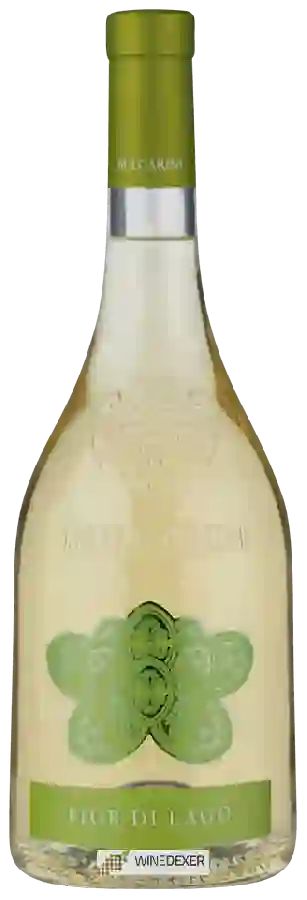 Winery Bulgarini - Fior di Lago (Fiore Bianco)