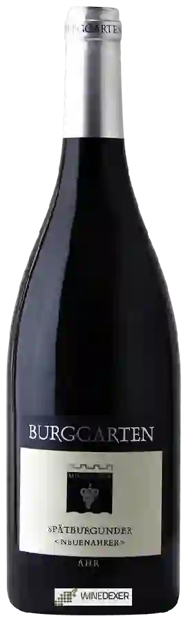 Winery Burggarten - Neuenahrer Spätburgunder Winery Burggarten - Neuenahrer Spätburgunder