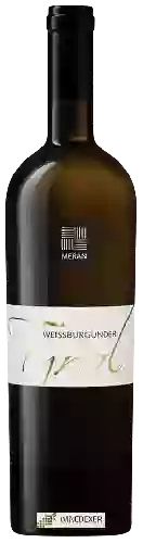 Winery Kellerei Meran - Tyrol Weissburgunder