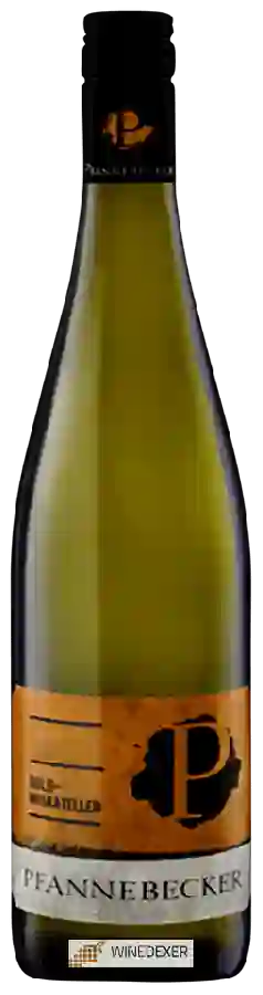 Winery Pfannebecker - Goldmuskateller Winery Pfannebecker - Goldmuskateller