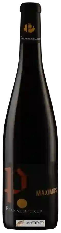 Winery Pfannebecker - Maximus