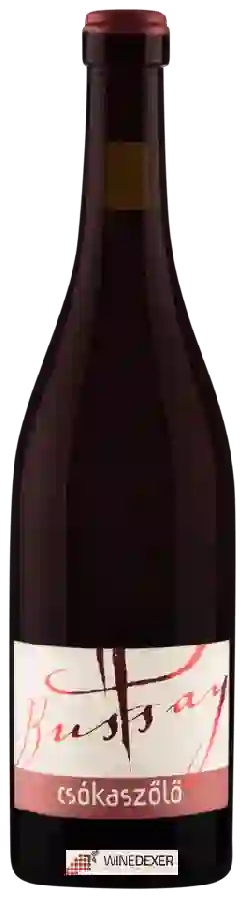 Winery Bussay - Csókaszőlő
