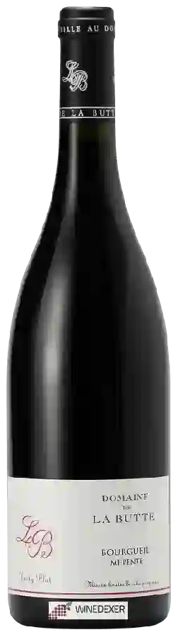Domaine de la Butte - Mi-Pente Bourgueil