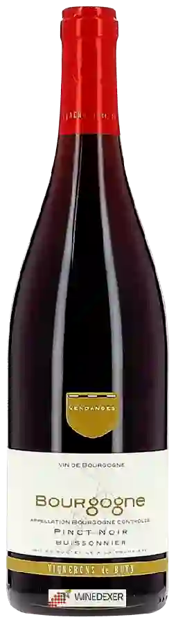 Winery Vignerons de Buxy - Bourgogne Pinot Noir Buissonnier