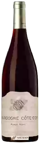 Domaine Bzikot - Bourgogne Côte-d’Or Pinot Noir