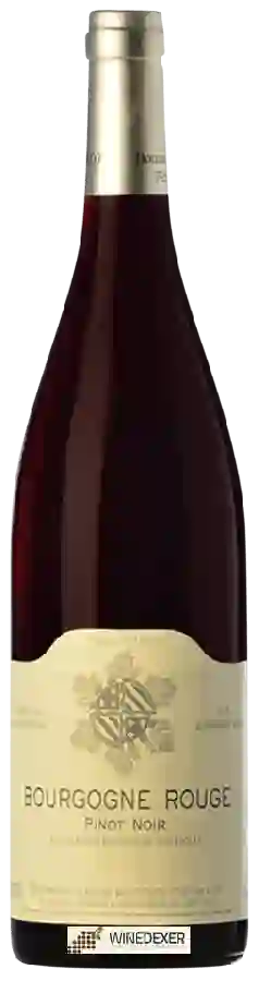 Domaine Bzikot - Bourgogne Rouge