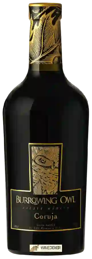 Winery Burrowing Owl - Coruja