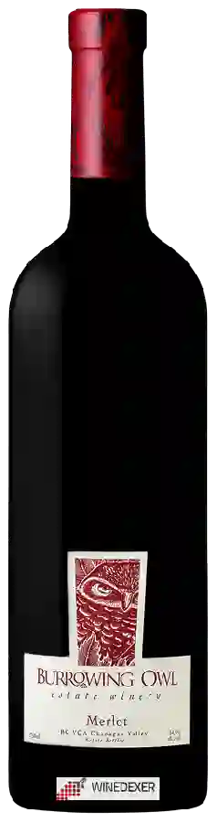 Winery Burrowing Owl - Merlot