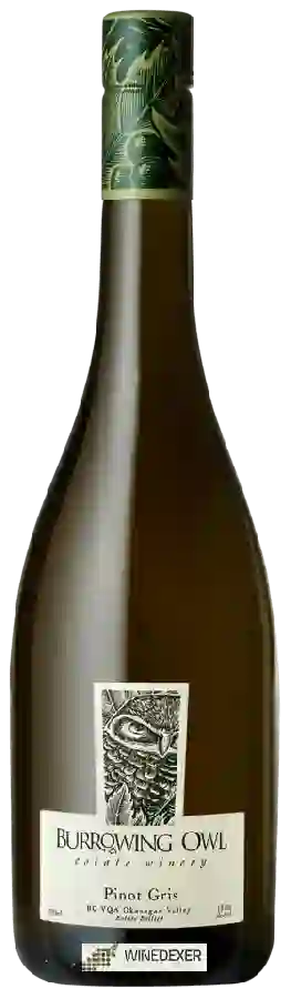 Winery Burrowing Owl - Pinot Gris Winery Burrowing Owl - Pinot Gris